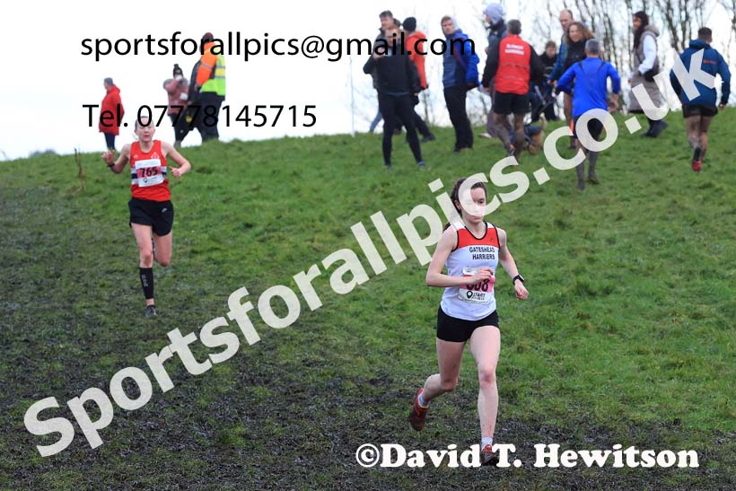 Senior womens 2023 North Eastern Cross Country Champs., Temple Park, South Shields. Photo: David T. Hewitson/Sports for All Pics